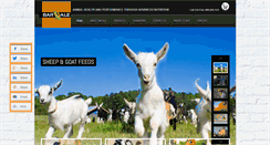 Desktop Screenshot of baraleinc.com